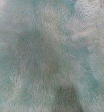 Ворсистый овчина двухшкурная BLUE 02SS 8006